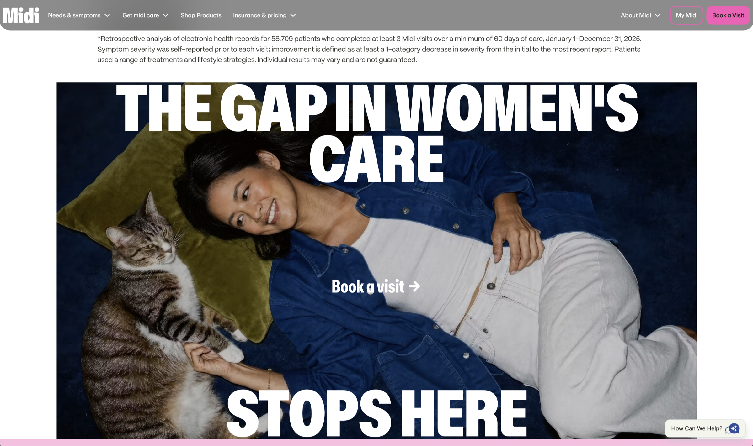 Final Midi website composition featuring the ambassador and a cat