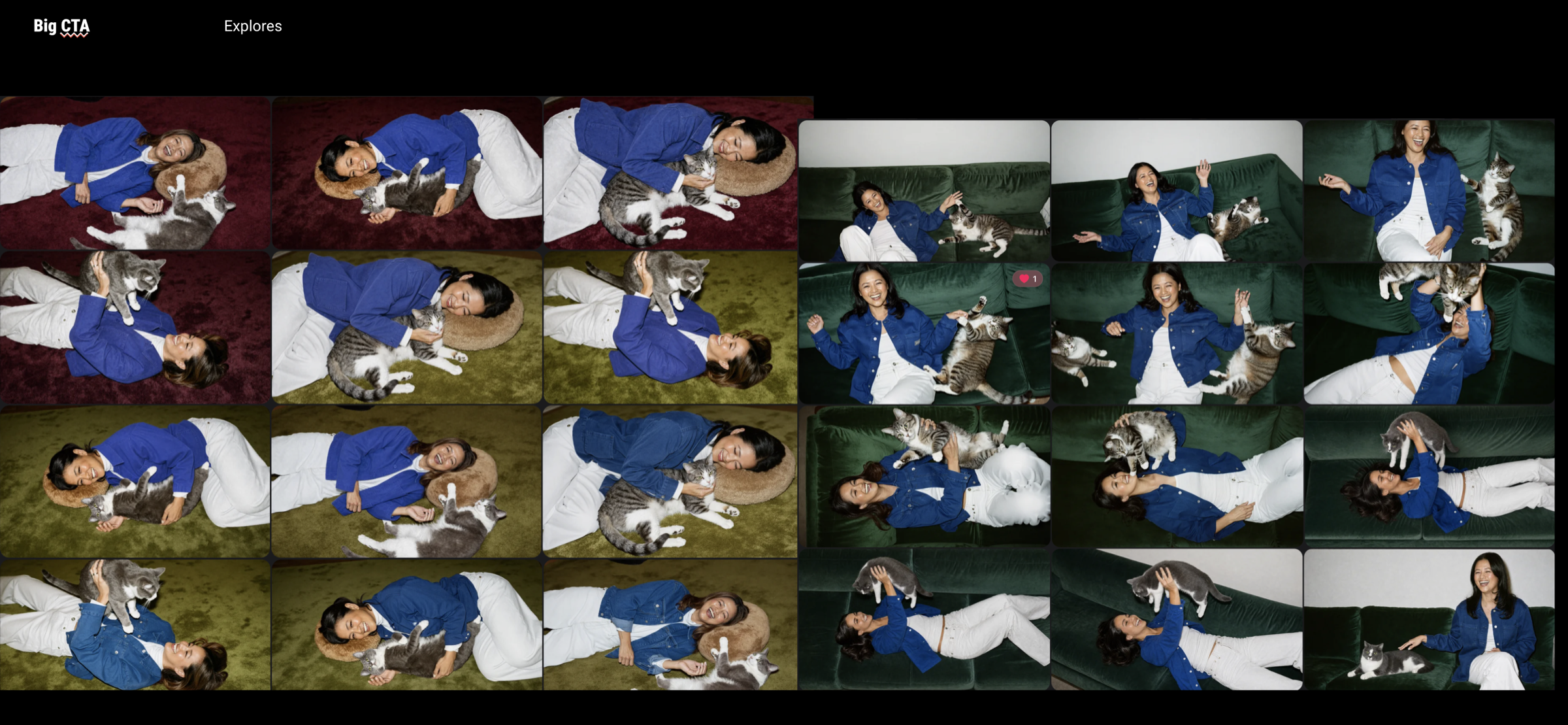 AI generation contact sheet of the ambassador relaxing with a cat